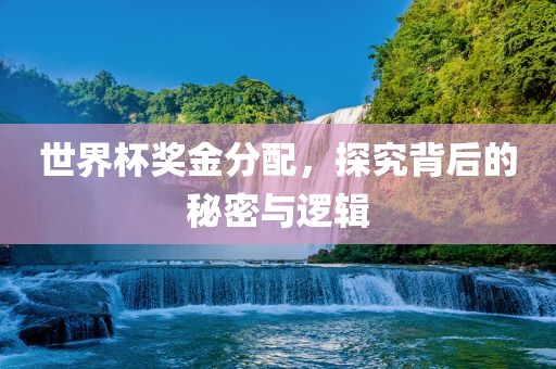 世界杯奖金分配，探究背后的秘密与逻辑漯河市盈旭机械设备有限公司