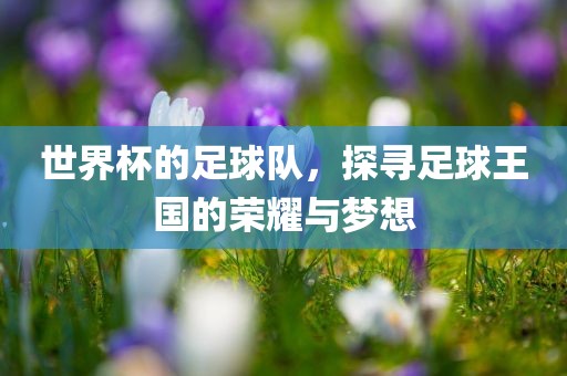 世界杯的足球队，探寻足球王国的荣耀与梦想漯河市盈旭机械设备有限公司