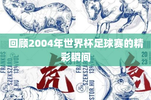 回顾2004年世界杯足球赛的精彩瞬间漯河市盈旭机械设备有限公司