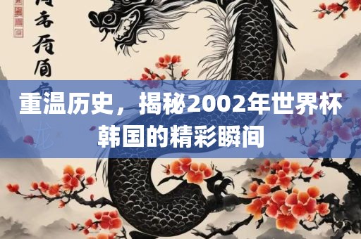 重温历史，揭秘2002年世界杯韩国的精彩瞬间漯河市盈旭机械设备有限公司