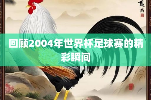 回顾2004年世界杯足球赛的精彩瞬间漯河市盈旭机械设备有限公司