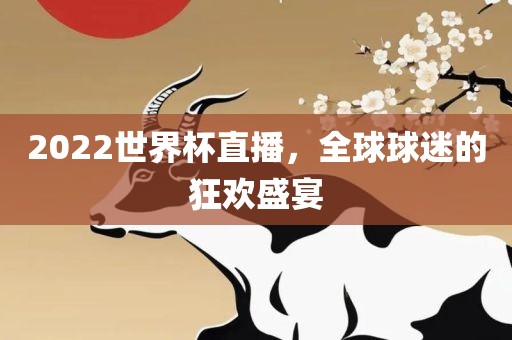 2022世界杯直播，全球球迷的狂欢盛宴漯河市盈旭机械设备有限公司