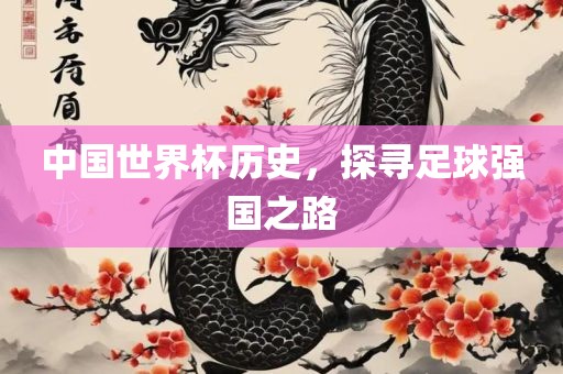 中国世界杯历史，探寻足球强国之路漯河市盈旭机械设备有限公司