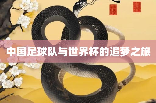 中国足球队与世界杯的追梦之旅漯河市盈旭机械设备有限公司