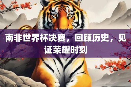 南非世界杯决赛，回顾历史，见证荣耀时刻漯河市盈旭机械设备有限公司