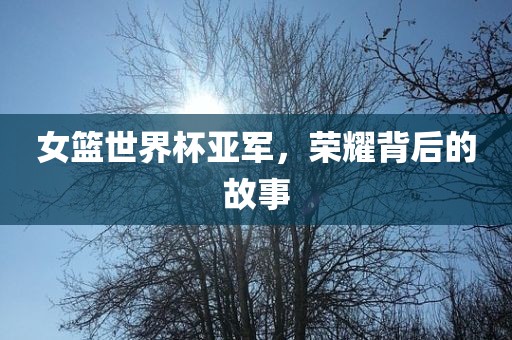 女篮世界杯亚军，荣耀背后的故事漯河市盈旭机械设备有限公司