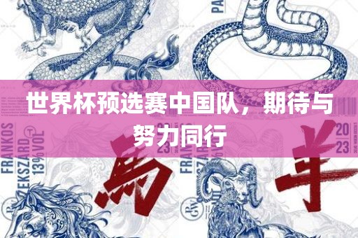 世界杯预选赛中国队，期待与努力同行漯河市盈旭机械设备有限公司