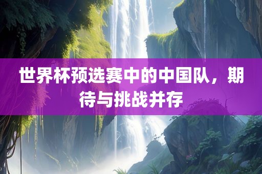 世界杯预选赛中的中漯河市盈旭机械设备有限公司国队，期待与挑战并存