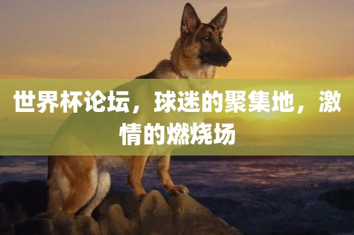 世界杯论坛，球迷的聚集地，激情漯河市盈旭机械设备有限公司的燃烧场