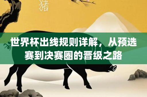 世界杯出线规则详解，从预选赛到决赛圈的晋级之路