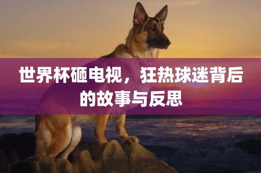 lulan 第9页