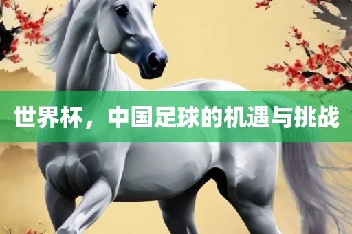 世界杯，中国足球的机遇与挑战漯河市盈旭机械设备有限公司