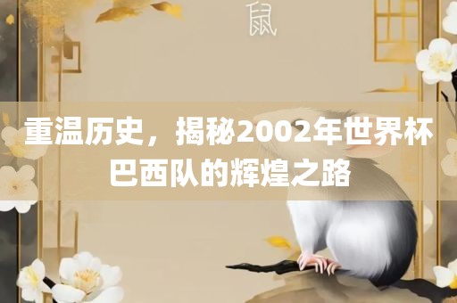 重温历史，揭秘2002年世界杯巴西队的辉煌之路漯河市盈旭机械设备有限公司