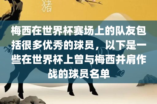 梅西在世界杯赛场上的队友包括很多优秀的球员，以漯河市盈旭机械设备有限公司下是一些在世界杯上曾与梅西并肩作战的球员名单