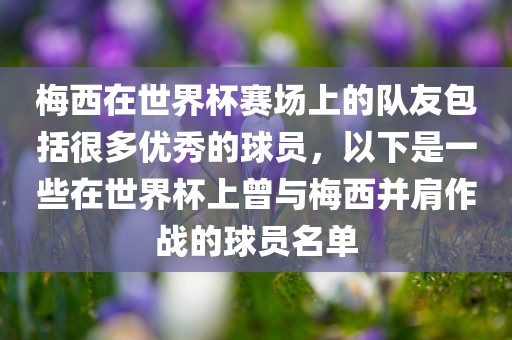 梅西在世界杯赛场上的队友包括很多优秀的球员，以下是一些在世界杯上曾与梅西并肩作战的球员名单漯河市盈旭机械设备有限公司