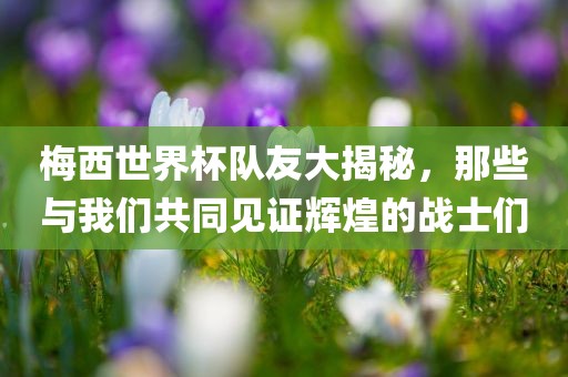 梅西世界杯队友大揭秘，那些与我们共同见证辉煌的战士们