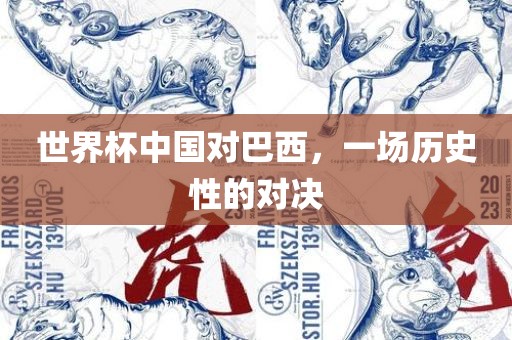 世界杯中国对巴西，一场历史性的对决漯河市盈旭机械设备有限公司