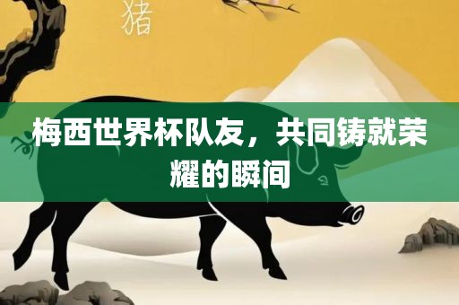 梅西世界杯队友，共同铸就荣耀的瞬间