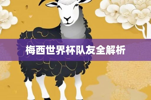 梅西世界杯队友全解析漯河市盈旭机械设备有限公司
