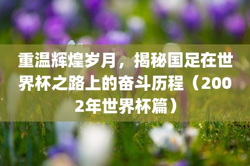 重温辉煌岁月，揭秘国足在世界杯之路上的奋斗历程（2002年世界杯篇）漯河市盈旭机械设备有限公司