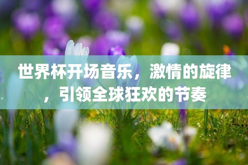 世界杯开场音乐，激情的旋律，引领全球狂欢的节奏