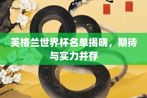 英格兰世界杯名单揭晓，期待与实力并存