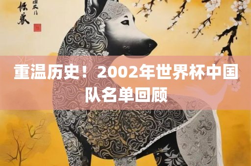 重温历史！2002年世界杯中国队名单回顾漯河市盈旭机械设备有限公司