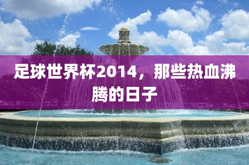 足球世界杯2014漯河市盈旭机械设备有限公司，那些热血沸腾的日子