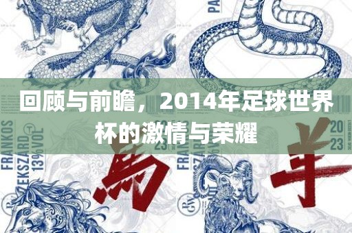 回顾与前瞻，2014年足球世界杯的激情与荣耀漯河市盈旭机械设备有限公司