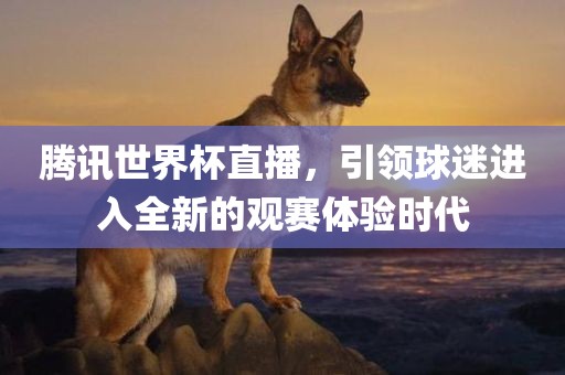 腾讯世界杯直播，引领球迷进入全新的观赛体验时代