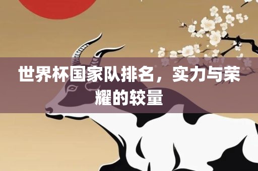 世界杯国家队排名，实力与荣耀的较量漯河市盈旭机械设备有限公司