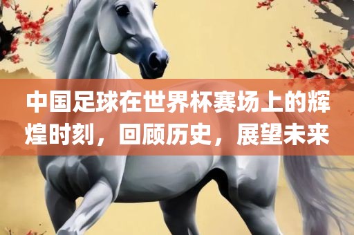 中国足球在世界杯赛场上的辉煌时刻，回顾历史，展望未来