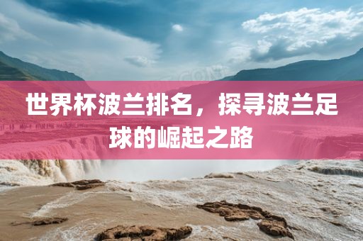 世界杯波兰排名，探寻波兰足球的崛起之路漯河市盈旭机械设备有限公司