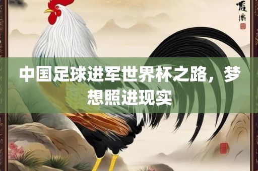 中国足球进军世界杯之路，梦想照进现实漯河市盈旭机械设备有限公司