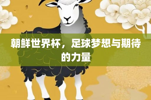 朝鲜世界杯，足球梦想与期待的力量