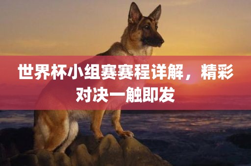 世界杯小组赛赛程详解，精彩对决一触即发