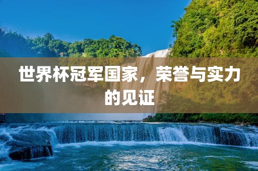 世界杯冠军国家，荣誉与实力的见证