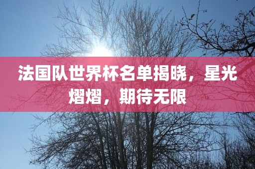 法国队世界杯名单揭晓，星光熠熠，期待无限漯河市盈旭机械设备有限公司