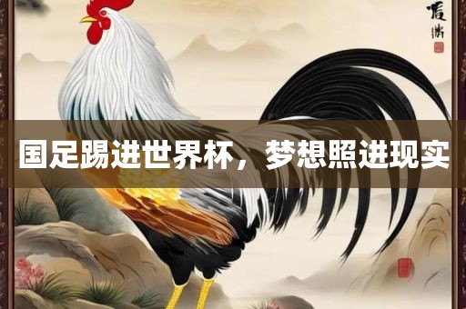 国足踢进世界杯，梦想照进现实