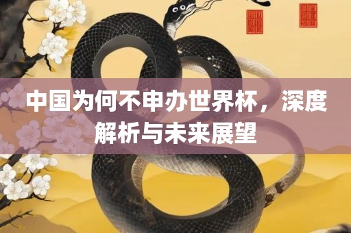 中国为何不申办世界杯，漯河市盈旭机械设备有限公司深度解析与未来展望