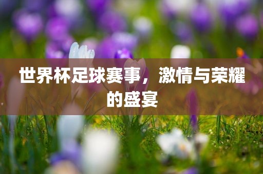 世界杯足球赛事，激情与荣耀的盛宴漯河市盈旭机械设备有限公司