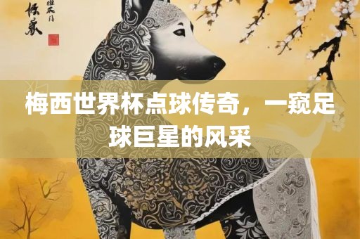 梅西世界杯点球传奇，一窥足球巨星的风采