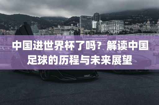 中国进世界杯了吗？解读中国足球的历程与未来展望漯河市盈旭机械设备有限公司