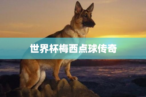 世界杯梅西点球传奇漯河市盈旭机械设备有限公司