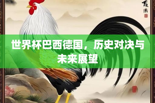 世界杯巴西德国，历史对决与未来展望漯河市盈旭机械设备有限公司