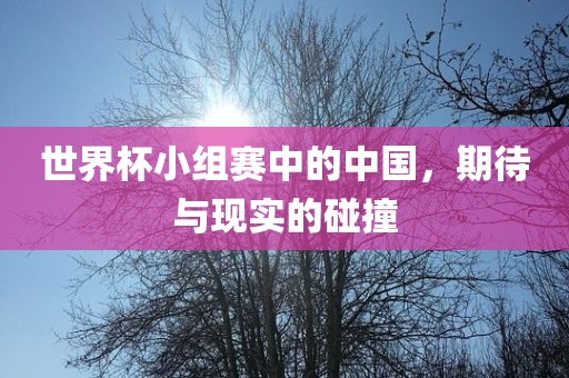 世界杯小组赛中的中国，期待与现实的碰撞漯河市盈旭机械设备有限公司