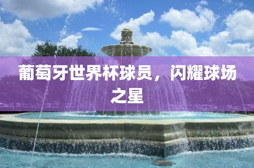 葡萄牙世界杯球员，闪耀球场之星漯河市盈旭机械设备有限公司