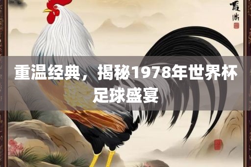 重温经典，揭秘1978年世界杯足球盛宴漯河市盈旭机械设备有限公司