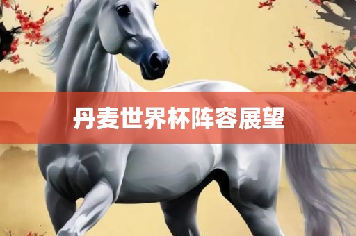 丹麦世界杯阵容展望漯河市盈旭机械设备有限公司
