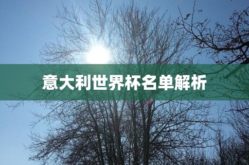 意大利世界杯名单解析